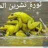 وارد ياسين البخيتاوي 的头像