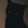 ysl's profile picture