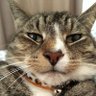 Susnata Seal's profile picture