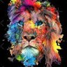 Happy Warrior's profile picture