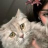 ٓ's profile picture