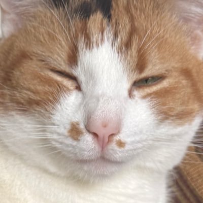 mahmood_studios's profile picture