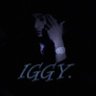 Profilbild von IGGY.