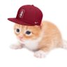 Profilbild von Stanford Gary