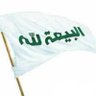 ahmad ahmadi's profile picture