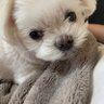 自己犠牲の果て profil fotoğrafı