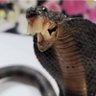 Фото профиля Brit snek