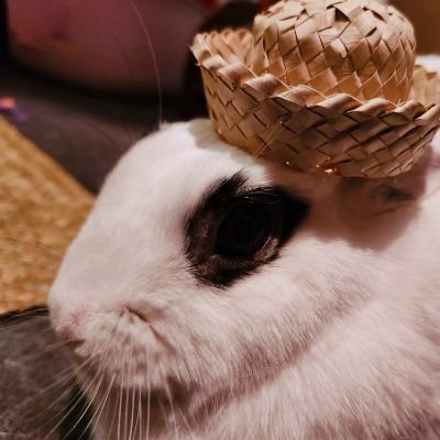 CancerFinalGirl's profile picture