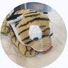 ねそべり's profile picture