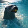 Profilbild von Bank Ocean