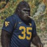 Фото профиля Cigsquatch