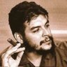 Profilbild von دافنشي