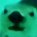 Profilbild von ﾔﾋﾟﾋﾟ