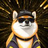 The Coach 𝕏Đ's profile picture
