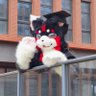 Profilbild von TR Trader