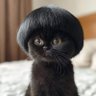 ลงรูปที่ชอบ 的头像