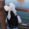 نورة سليمان العنقري 的头像