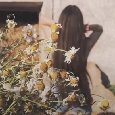Mariam's profile picture