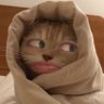 patamon's profile picture