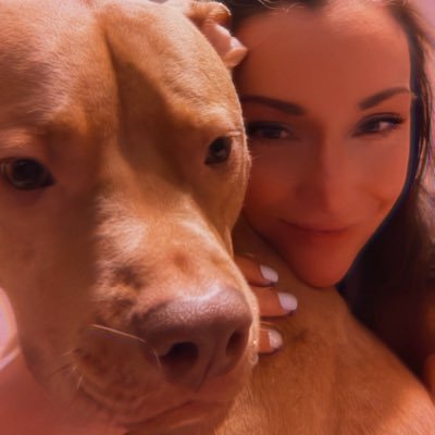 ꜱᴀᴠɪɴɢ ꜱʜᴇʟᴛᴇʀ ᴅᴏɢꜱ's profile picture