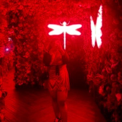 notiqa~'s profile picture
