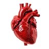 Cardiac1963's profile picture