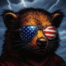 The Divided States of America🇺🇸➗ profil fotoğrafı