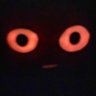 sillygoober 的头像