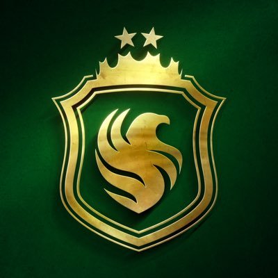 Team Falcons's profile picture