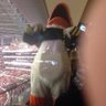 Sir Puddles's profile picture
