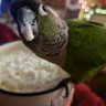 MaggieLiz's profile picture