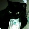 Roteldo's profile picture