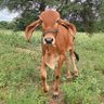 subramani R profil fotoğrafı
