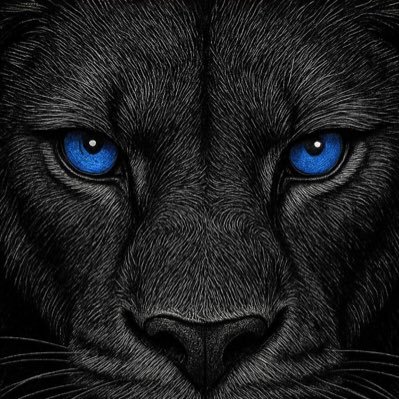Adeyanju Z's profile picture