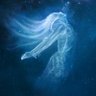 Фото профиля 💦 🏝️ swim 🐬 💦