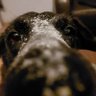 Dom profil fotoğrafı