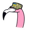 Flamingo Oblomingo 🦩's profile picture