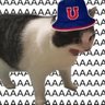 Profilbild von Jorge