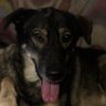 BEVERLY CHARLES's profile picture