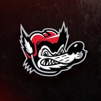 Huntsville Havoc's profile picture