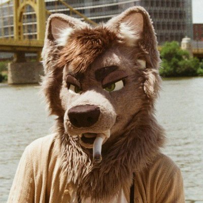 Wolf's profile picture