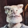 Profilbild von Gofre