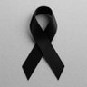 Paolo Zamparutti's profile picture