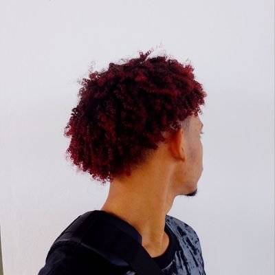DanizinCacetudo's profile picture