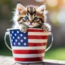 Profilbild von Kitty In a Bucket