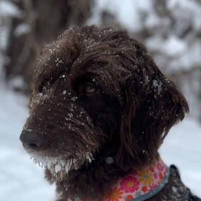 adoodlenamedclo's profile picture