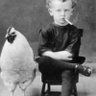 Profilbild von Parafok