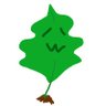 NamagawakiWakame's profile picture