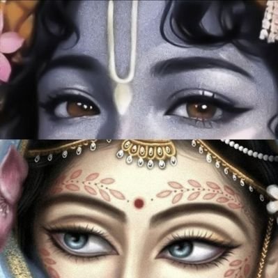 Kirti Kushwaha's profile picture