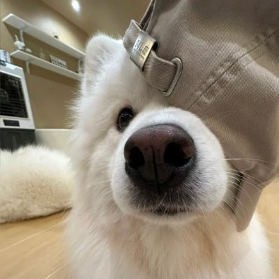 ThaylissonV's profile picture